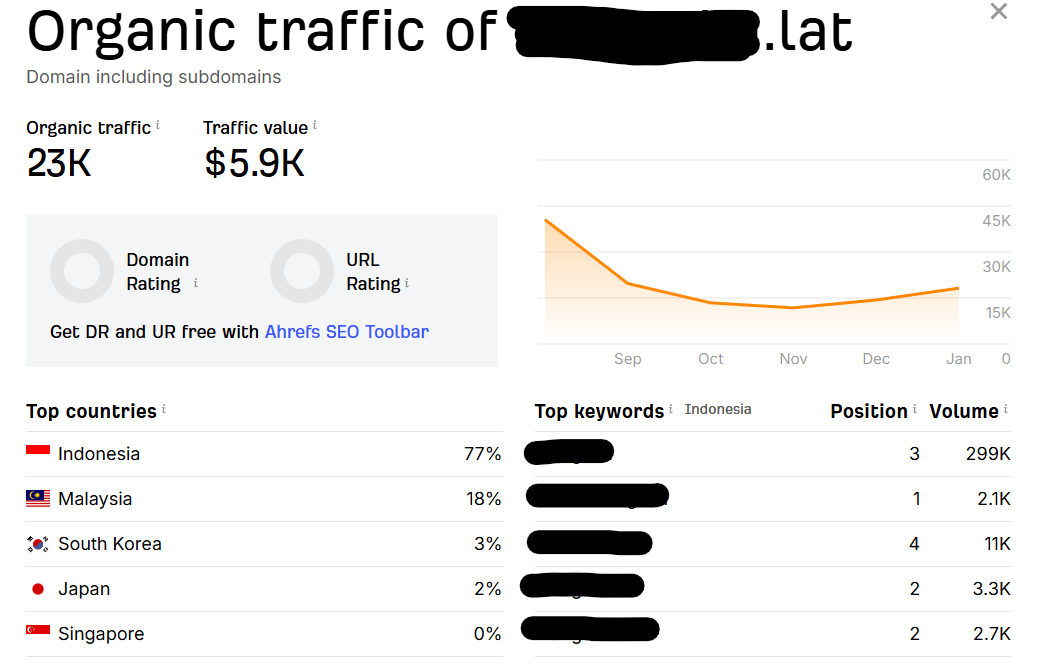 Spesifikasi Aged Domain berdasarkan Traffic (Gambar 11)