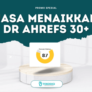 Jasa Meningkatkan DR 30+ (Metode Terbaru Whitehat SEO) 2025